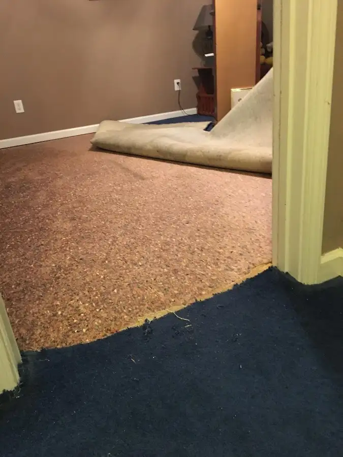 Carpet pad removal revealing water damage during Drying & Dehumidification in Glen Rock